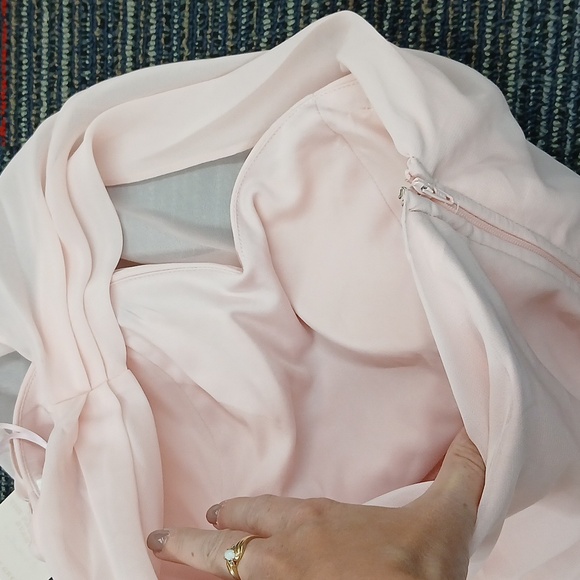 NWT Birdy Pink Kira Chiffon Dress Lg - Picture 6 of 7